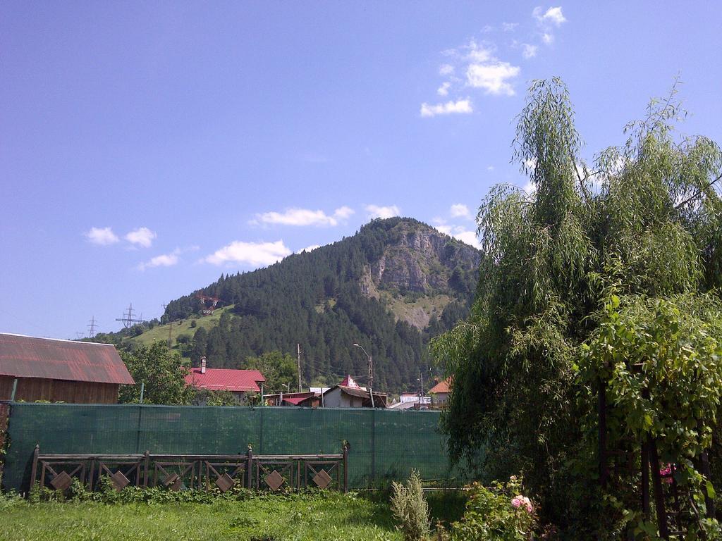 Pensiune Maria Rucăr Exterior foto