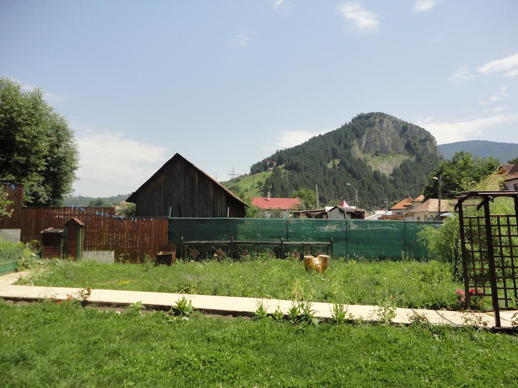 Pensiune Maria Rucăr Exterior foto