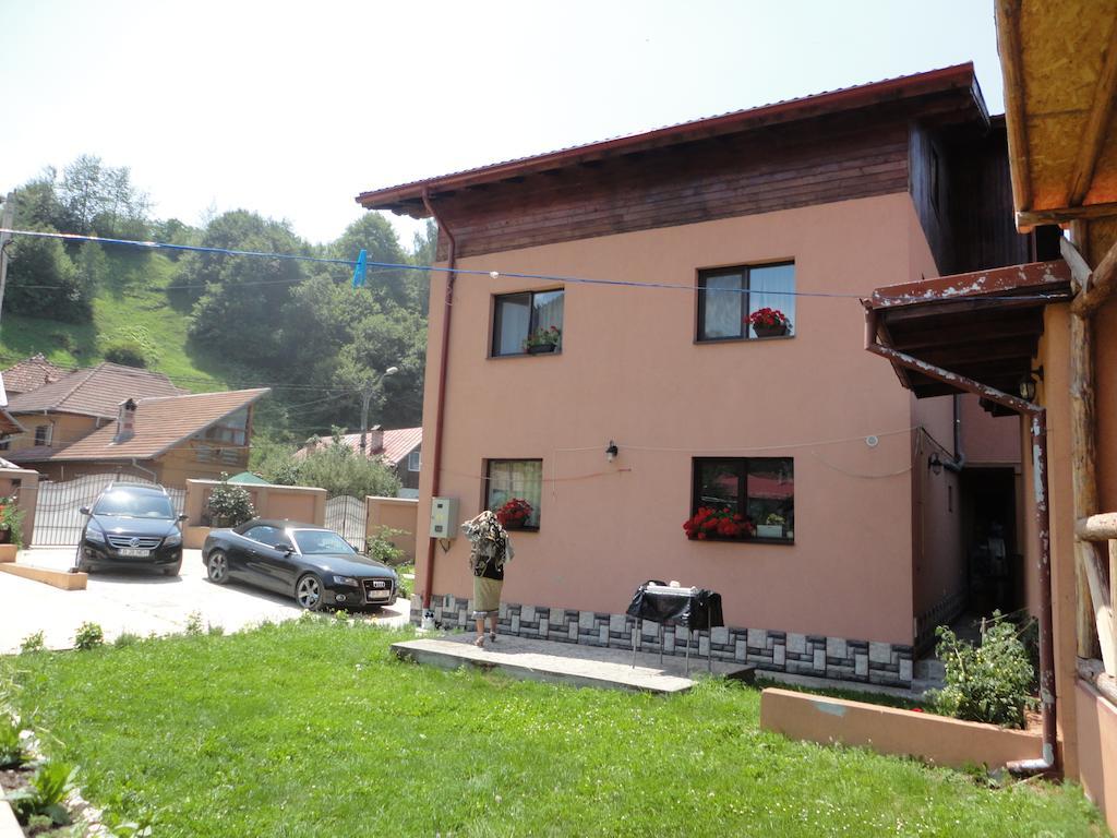Pensiune Maria Rucăr Exterior foto