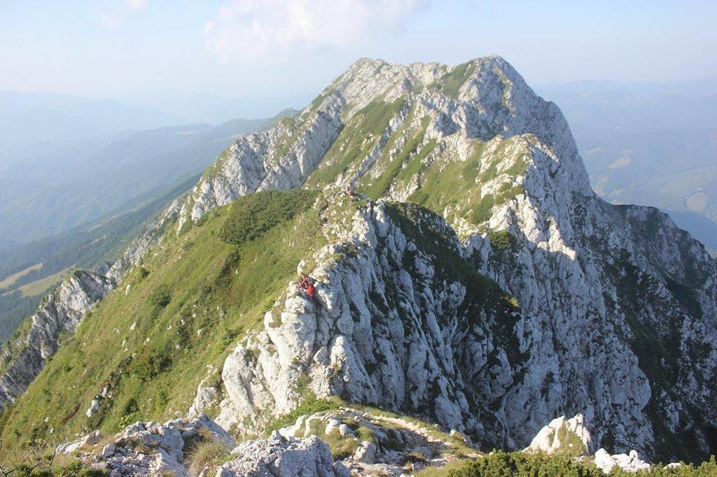 Pensiune Maria Rucăr Exterior foto
